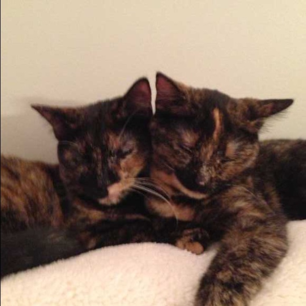 Meet your Posher, Christy